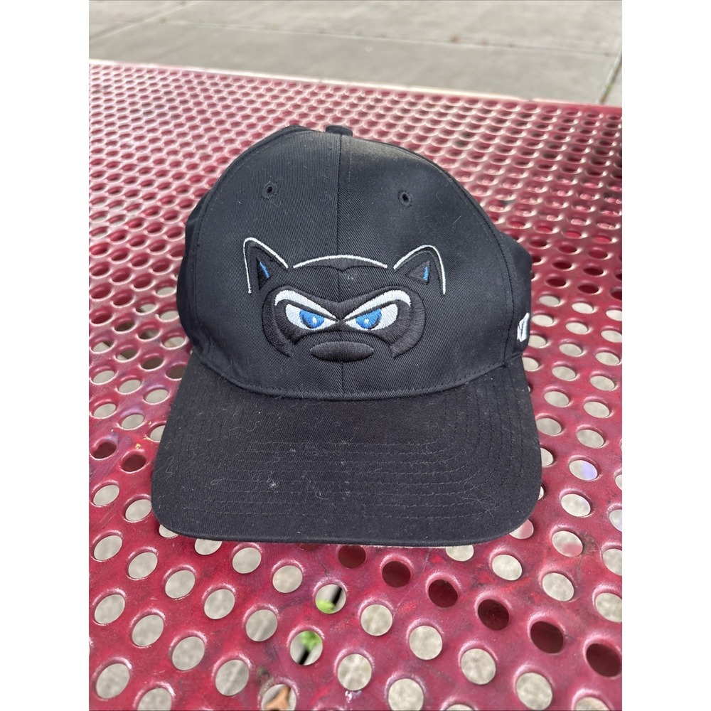 47 Brand Hudson Valley Renegades Black Raccoon Logo Snapback Hat One Size